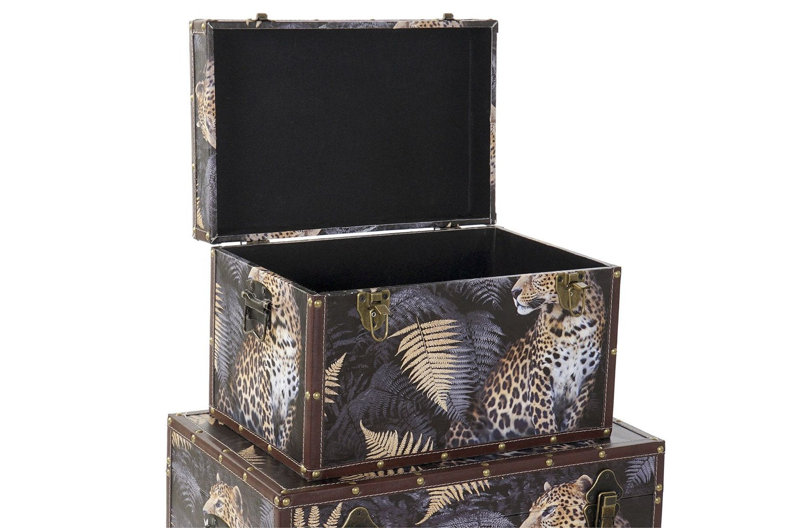 Set 3 Bauli jungle selvaggi