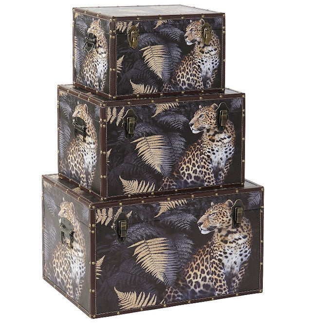 Set 3 Bauli jungle selvaggi