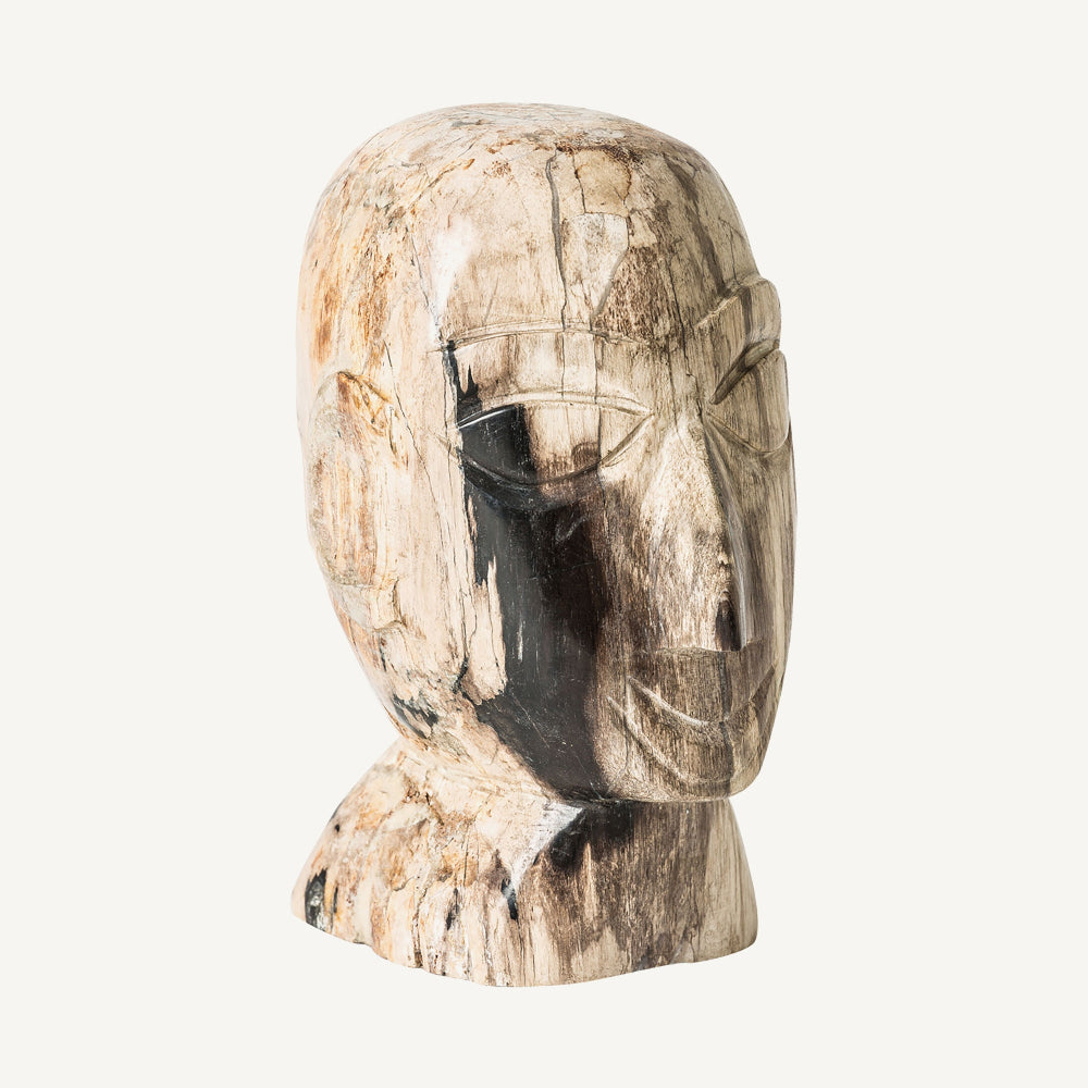 Busto design in legno pietrificato