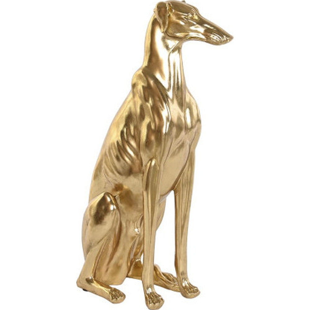 Levriero dorato ideale per ingresso chic